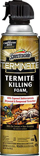 Spectracide termite killing foam injected into a void in damaged wood