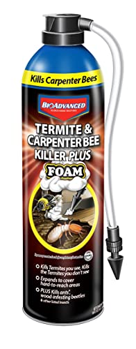 BioAdvanced expanding foam reaching hidden termites inside wood