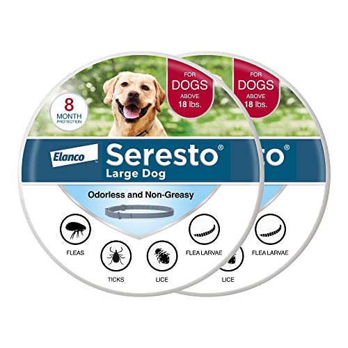 Vet-recommended flea and tick collar fitted on a large dog