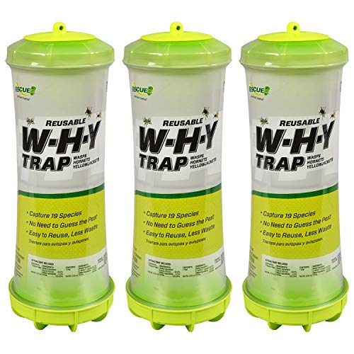 Reusable hanging multi-species wasp, hornet, and yellowjacket trap for the yard edge