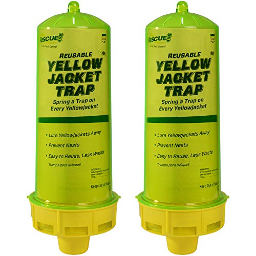 Reusable yellowjacket lure trap with attractant for a fence post
