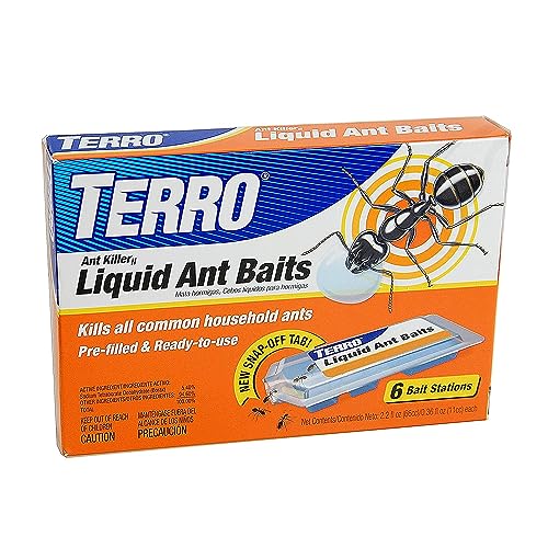 Borax liquid ant bait drops placed on an indoor ant trail