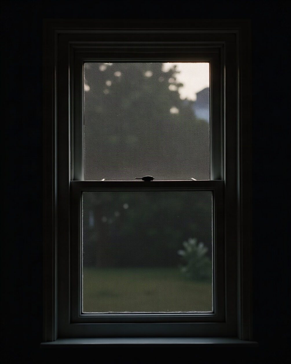 An insect screen fitted in an open window frame seen from inside at night, dark garden beyond