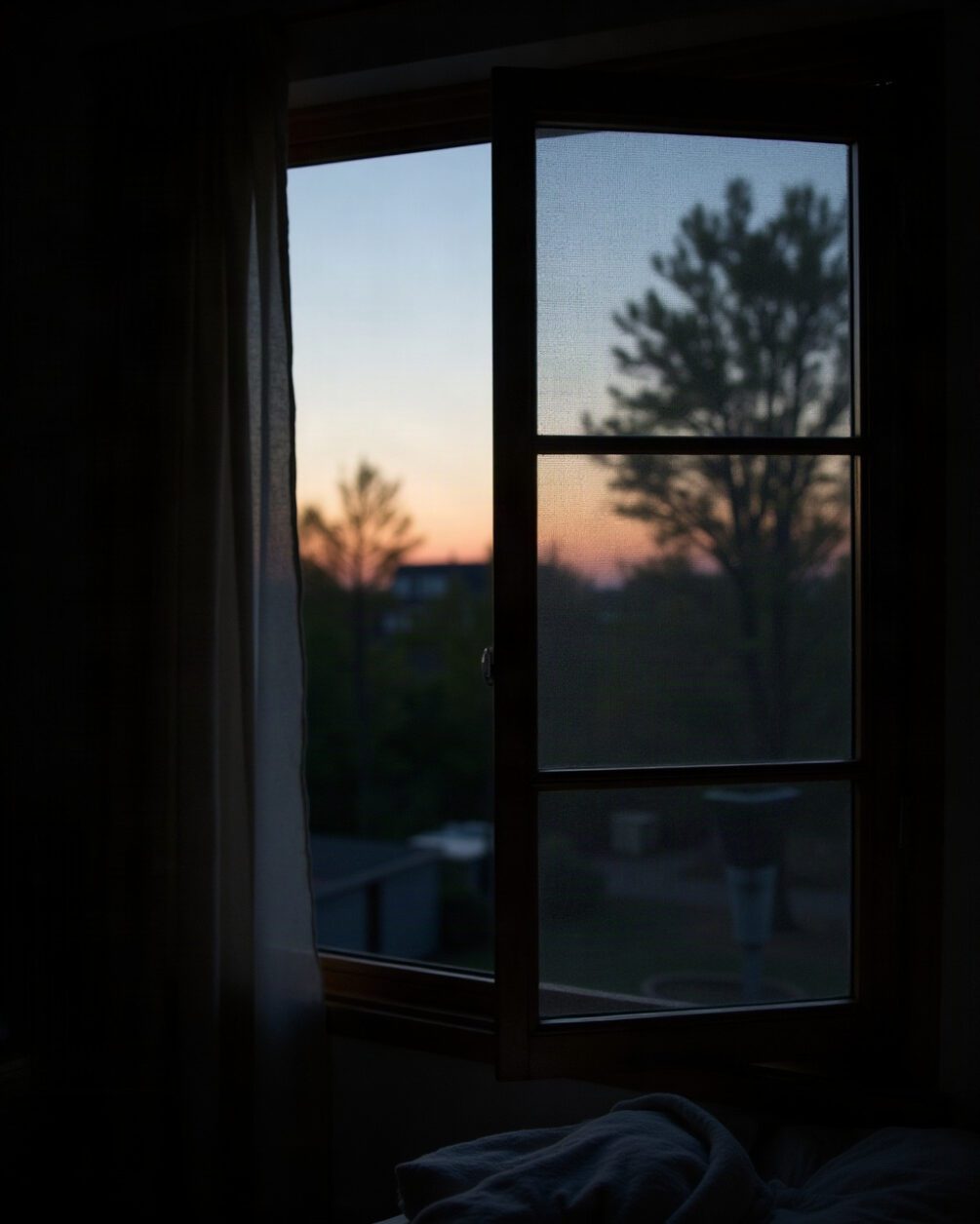 An insect screen fitted in an open window frame seen from inside at dusk, dark garden beyond